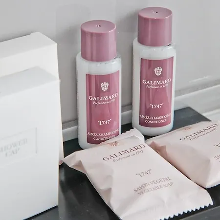 酒店 尼斯雨果拉维拉酒店 尼斯