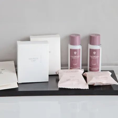 酒店 尼斯雨果拉维拉酒店 尼斯