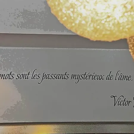 Hotel La Victor Hugo 3*