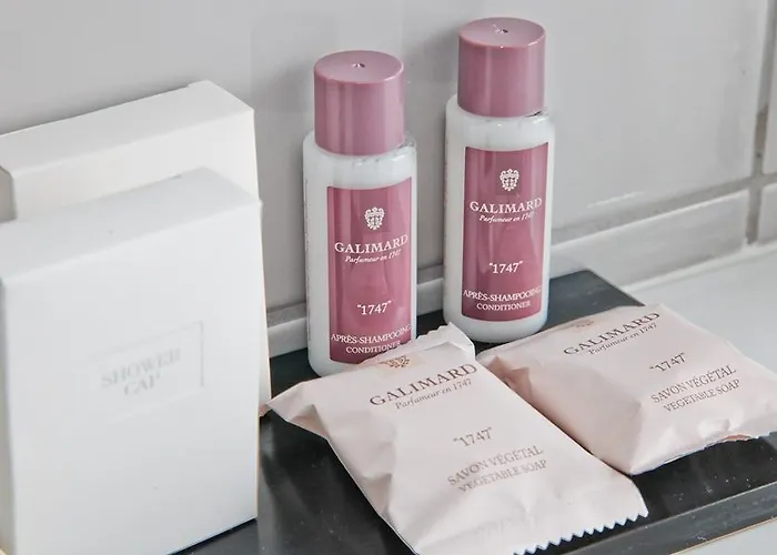 酒店 尼斯雨果拉维拉酒店 尼斯