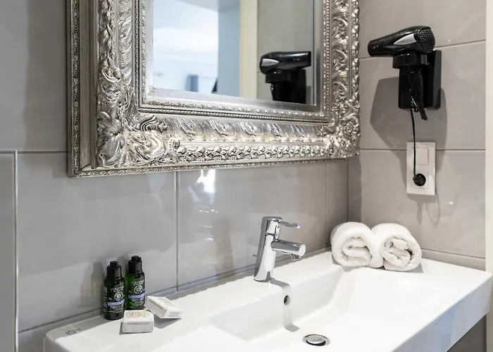 尼斯雨果拉维拉酒店 酒店