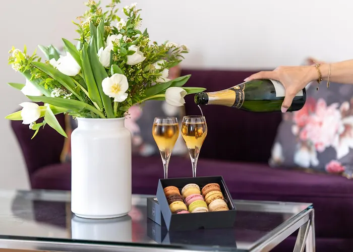 酒店 尼斯雨果拉维拉酒店