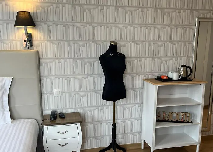 尼斯雨果拉维拉酒店 酒店