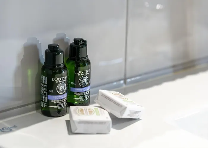 酒店 尼斯雨果拉维拉酒店