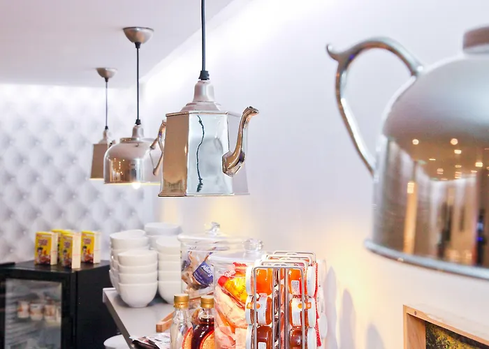 尼斯雨果拉维拉酒店 酒店