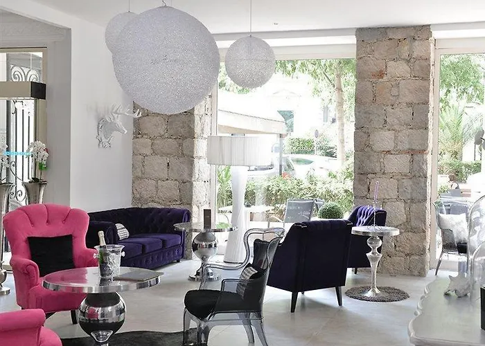 尼斯雨果拉维拉酒店 3* 尼斯