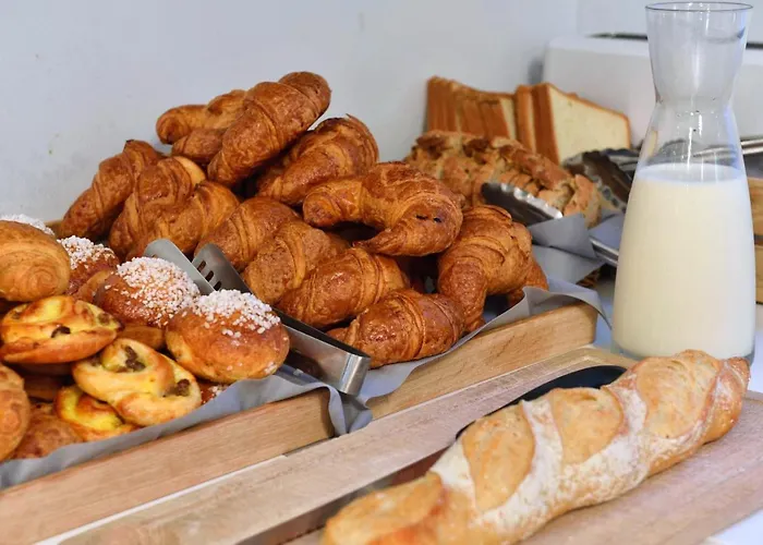 尼斯雨果拉维拉酒店 3* 尼斯