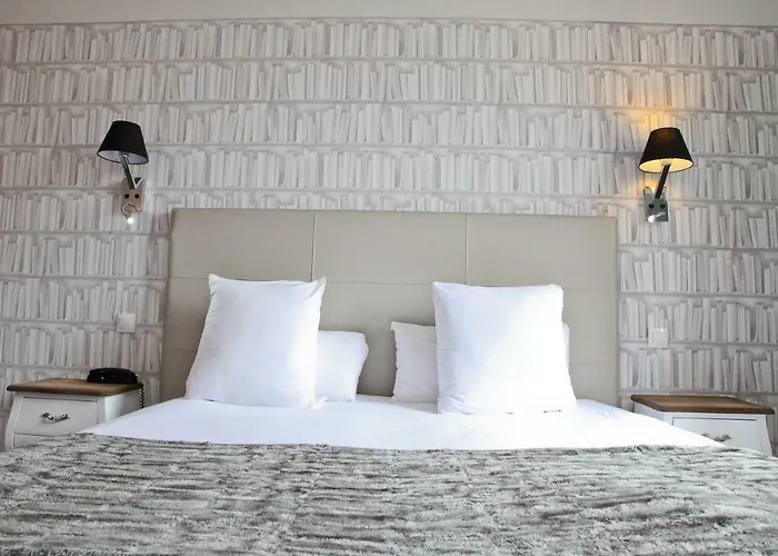 尼斯雨果拉维拉酒店 尼斯